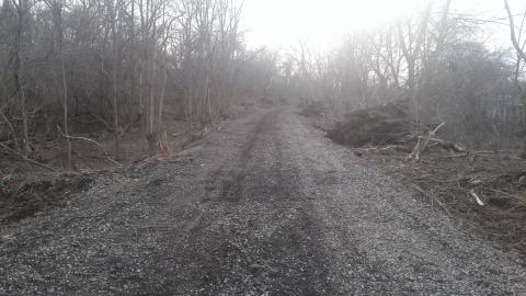 04/02/18 - 20180402_181310.jpg