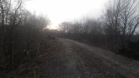 04/02/18 - 20180402_180954.jpg