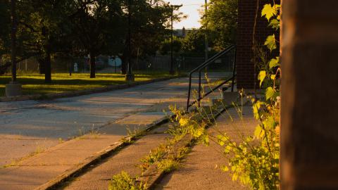 backrooms level asbestos - IMG_1968.jpg