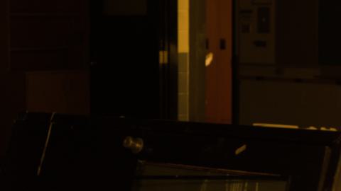 Go Ape - DSC_0060.jpg