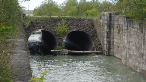 05/14/22 - 2022_0514_23053307.jpg