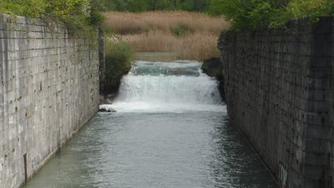 05/14/22 - 2022_0514_23032641.jpg