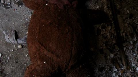 [Dr Junk] Unsure How I Havent Fallen Thru The Floor By Now - JUNE 2023 - IMG_5894.JPG