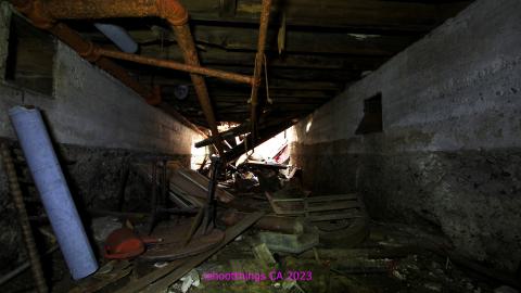 [Dr Junk] Unsure How I Havent Fallen Thru The Floor By Now - JUNE 2023 - IMG_5903.JPG