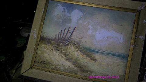 [Dr Junk] Unsure How I Havent Fallen Thru The Floor By Now - JUNE 2023 - IMG_5919.JPG