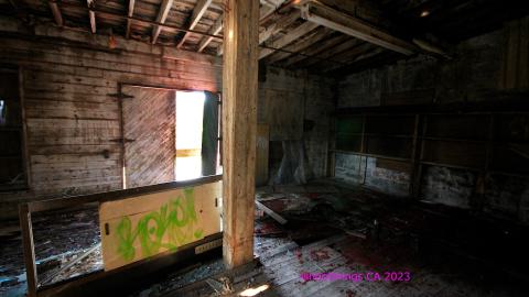 [Dr Junk] Unsure How I Havent Fallen Thru The Floor By Now - JUNE 2023 - IMG_5943.JPG