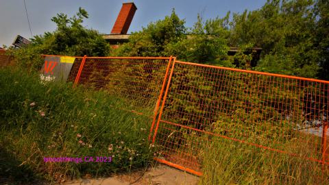 [Dr Junk] Unsure How I Havent Fallen Thru The Floor By Now - JUNE 2023 - IMG_5956.JPG