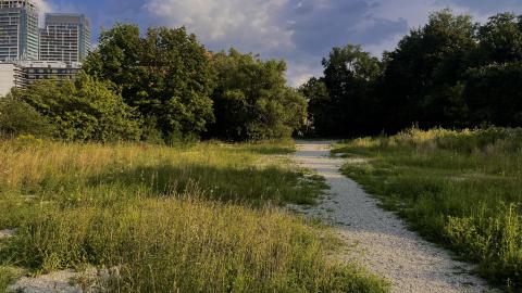 Abandoned Park?(ing lot) - original 2023-08-09 204724.388.jpeg
