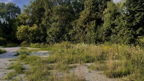 Abandoned Park?(ing lot) photo 4