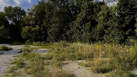 Abandoned Park?(ing lot) photo 2
