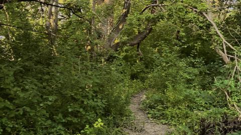 Abandoned Park?(ing lot) photo 5