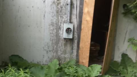 collection - IMG_9482.jpeg