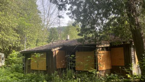 collection - IMG_9474.jpeg