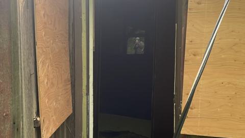 collection - IMG_9475.jpeg