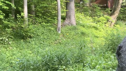 collection - IMG_9483.jpeg