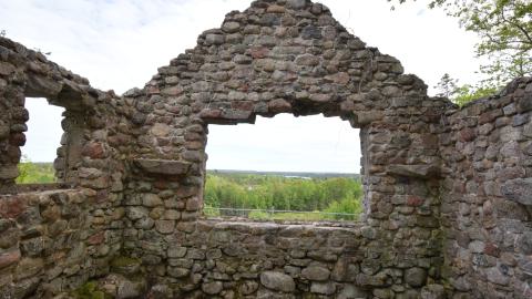 Bonavista Lodge - DSC_0109.JPG