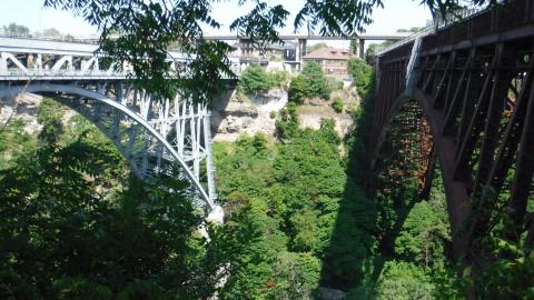 08/11/18 - 2018_0811_15181700.jpg