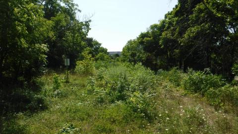 08/11/18 - 2018_0811_15200600.jpg