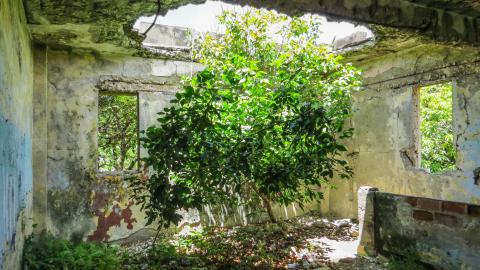 Summer 2023 - IMG_5650-2W.jpg