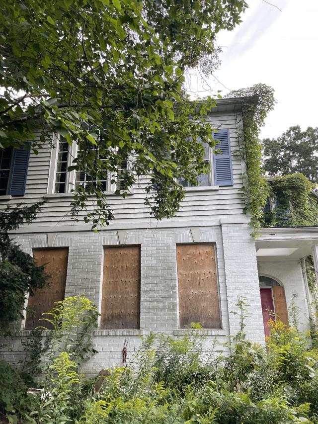 Pretty Property photo 3