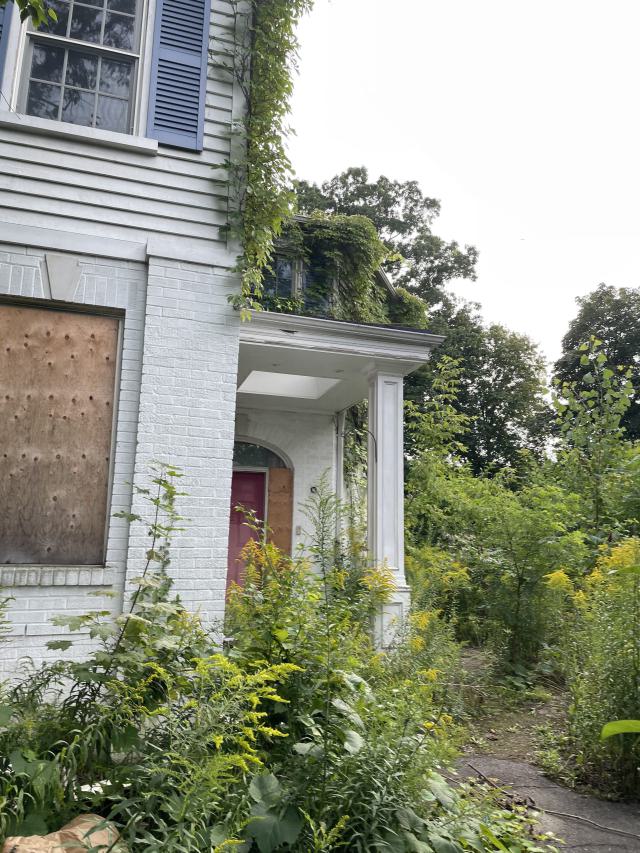 Pretty Property photo 4