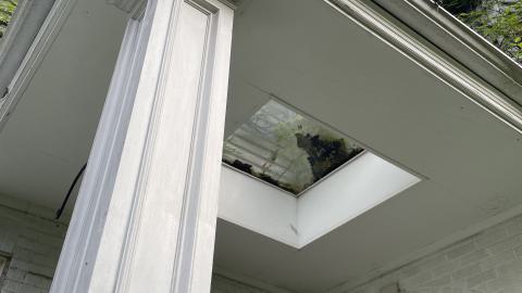 gorg - IMG_0163.jpeg