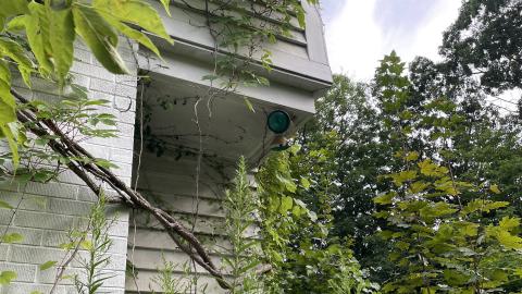 gorg - IMG_0165.jpeg