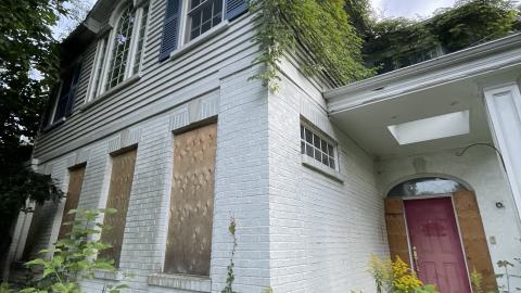 gorg - IMG_0168.jpeg