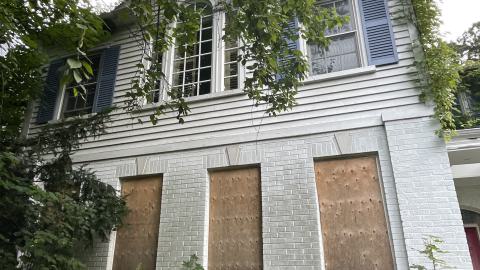 gorg - IMG_0169.jpeg