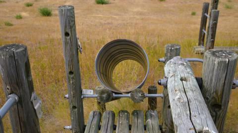 Del Bonita School - DSC_2452.JPG