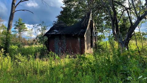 Butterfly Migration Shack August 2023 *10 Years Later* - 1.JPG