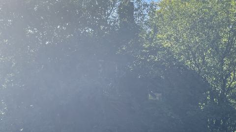 still accessible - IMG_1702.jpeg