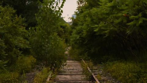 Photo from overgrown