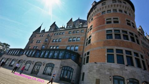 *Magnifique* - IMG_7622.JPG