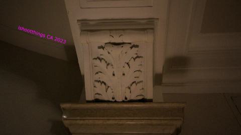 *Magnifique* - IMG_7638.JPG