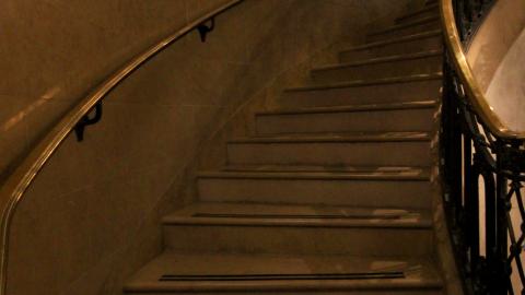 *Magnifique* - IMG_7642.JPG