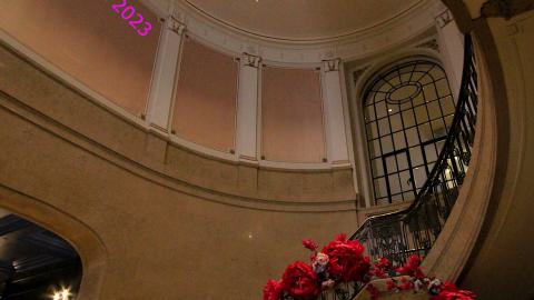 *Magnifique* - IMG_7643.JPG