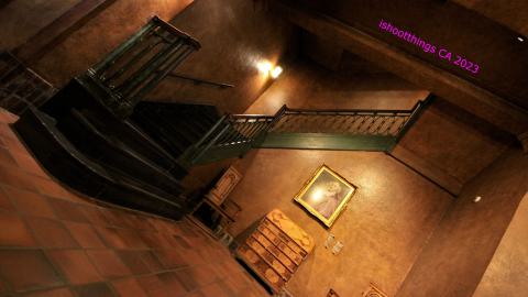 *Magnifique* - IMG_7648.JPG