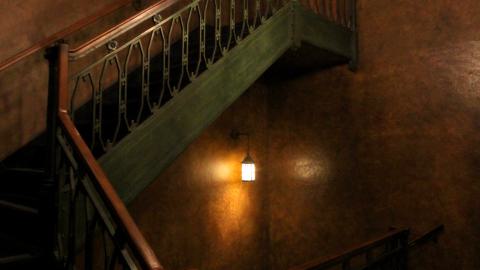 *Magnifique* - IMG_7650.JPG