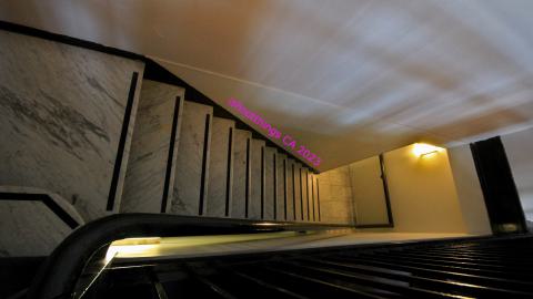 *Magnifique* - IMG_7652.JPG