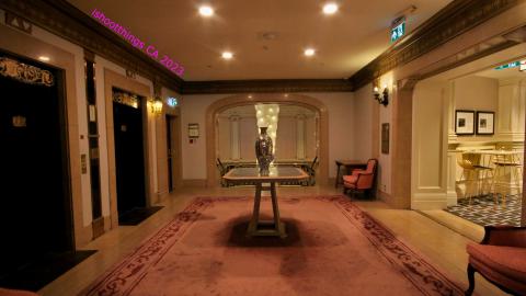 *Magnifique* - IMG_7655.JPG