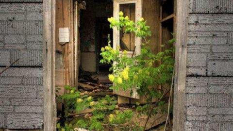 Bowing House photo 4