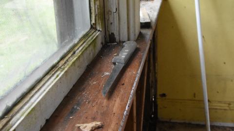 Yellow Cottage - ADS_7811.JPG