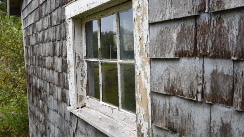 The yellow cottage photo 3