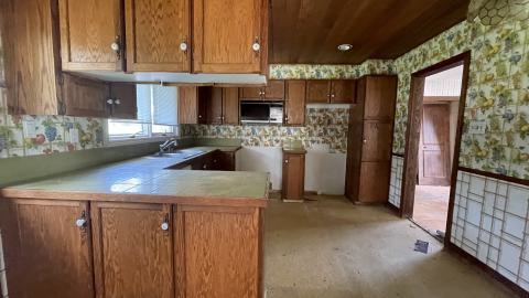 Untouched 60s house photo 2