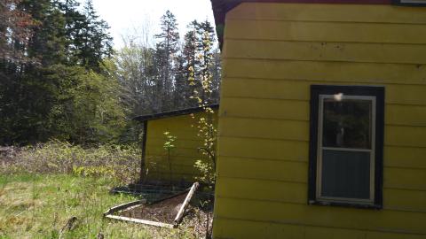 404 Error House - ADS_5504.JPG