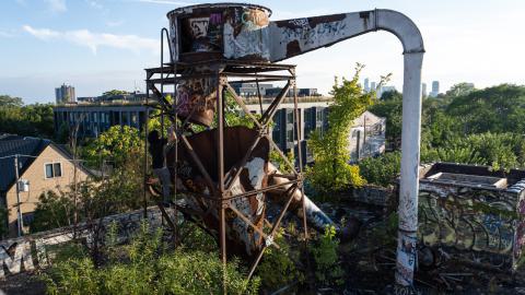 Goth Girl Hunting - IMG_3340.jpg