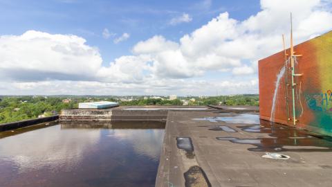 Colorful - IMG_4681.JPG