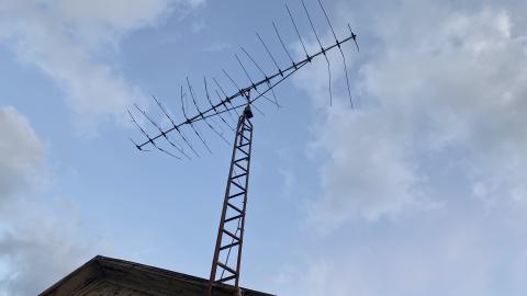 Rad Reidel - IMG_6706.JPG