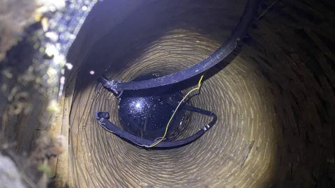 Rad Reidel - IMG_6712.JPG